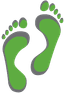 foot